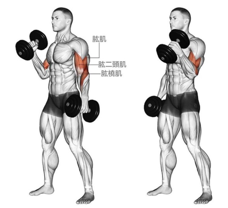 Arm Shape and Size: Understanding, Causes, Treatment, and Enhancement Options