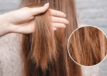 The Ultimate Guide to Hair Care for Dry and Damaged Hair