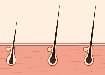 The Science of Hair Growth: Evidence-Based Secrets for Longer, Stronger Hair