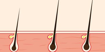 The Science of Hair Growth: Evidence-Based Secrets for Longer, Stronger Hair