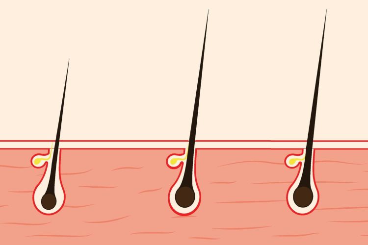 The Science of Hair Growth: Evidence-Based Secrets for Longer, Stronger Hair