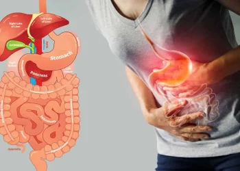 How Does Gut Health Influence Your Skin’s Wellness and Overall Radiance?