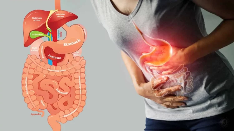 How Does Gut Health Influence Your Skin’s Wellness and Overall Radiance?