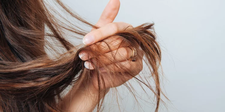 The Secret Key to Your Hair: How Understanding Porosity Unlocks Its True Potential