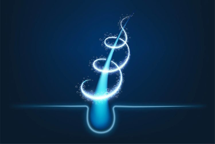 The Root of It All: Is an Unhealthy Scalp Stunting Your Hair Growth?