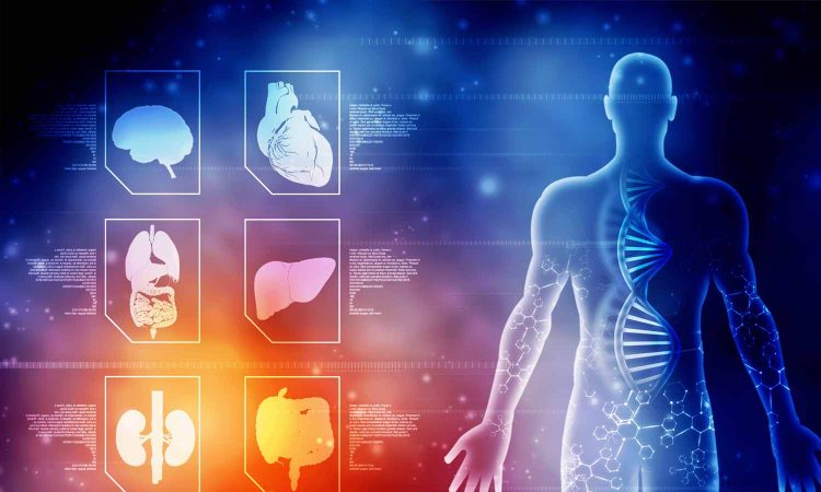 Future Faces: Can 3D Printing and Biotech Redefine Cosmetic Reconstruction?